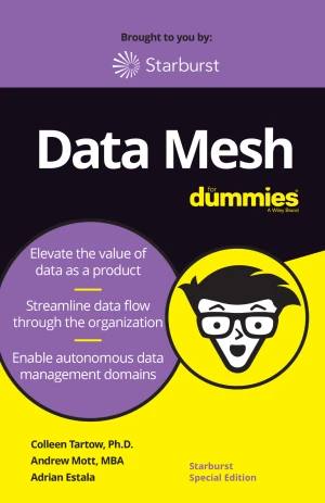 Data Mesh For Dummies